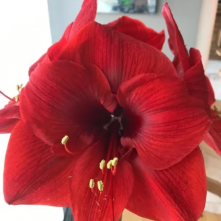 Rêv'de Thau Balaruc-les-Bains